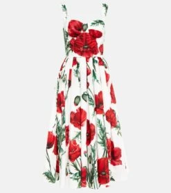 Dolce & Gabbana Bedrucktes Midikleid Aus Baumwolle